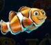 Symbol Oranžovo bílá rybka automatu Dolphin’s Wild Ride od SYNOT Games