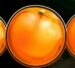 Symbol Pomeranč automatu Fruity Gold od SYNOT Games