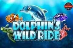 Dolphin’s Wild Ride od SYNOT Games