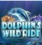 dolphins wild ride tisport chance