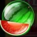 Symbol Meloun automatu Fruiti XXL od SYNOT Games